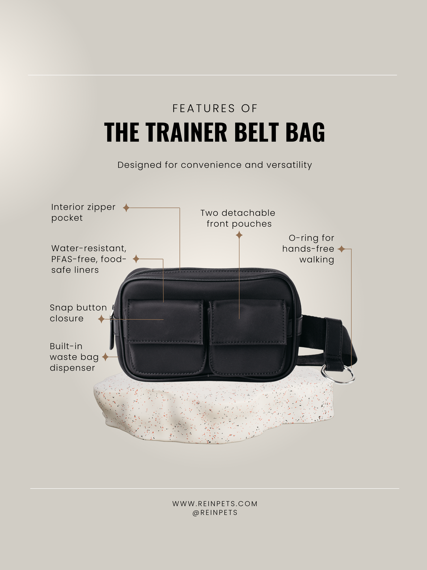 The Trainer