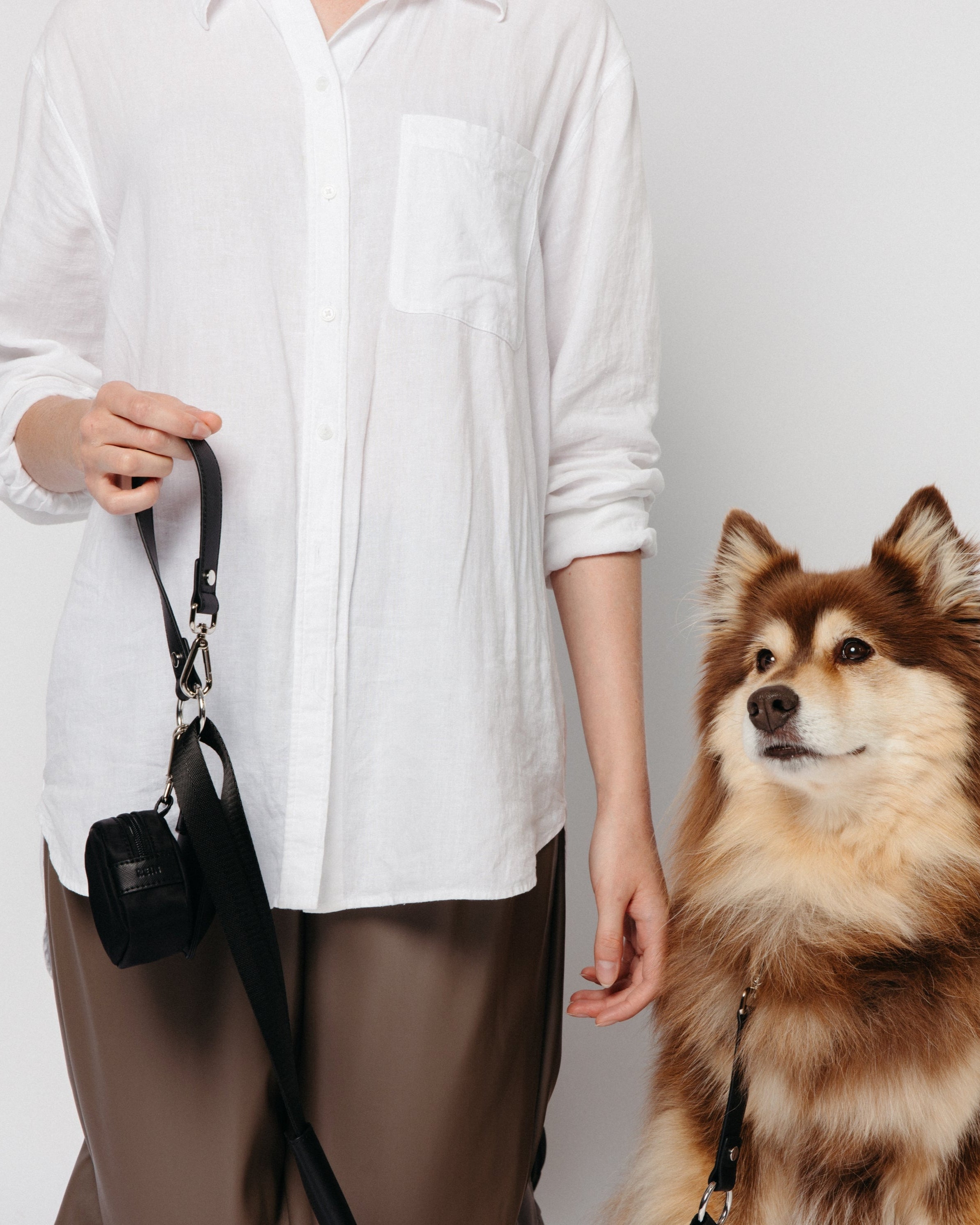 REIN Convertible Leash