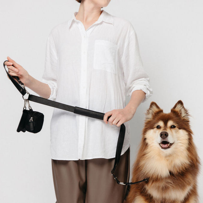 REIN Convertible Leash