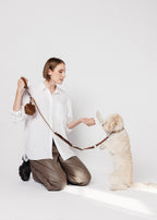 REIN Convertible Leash