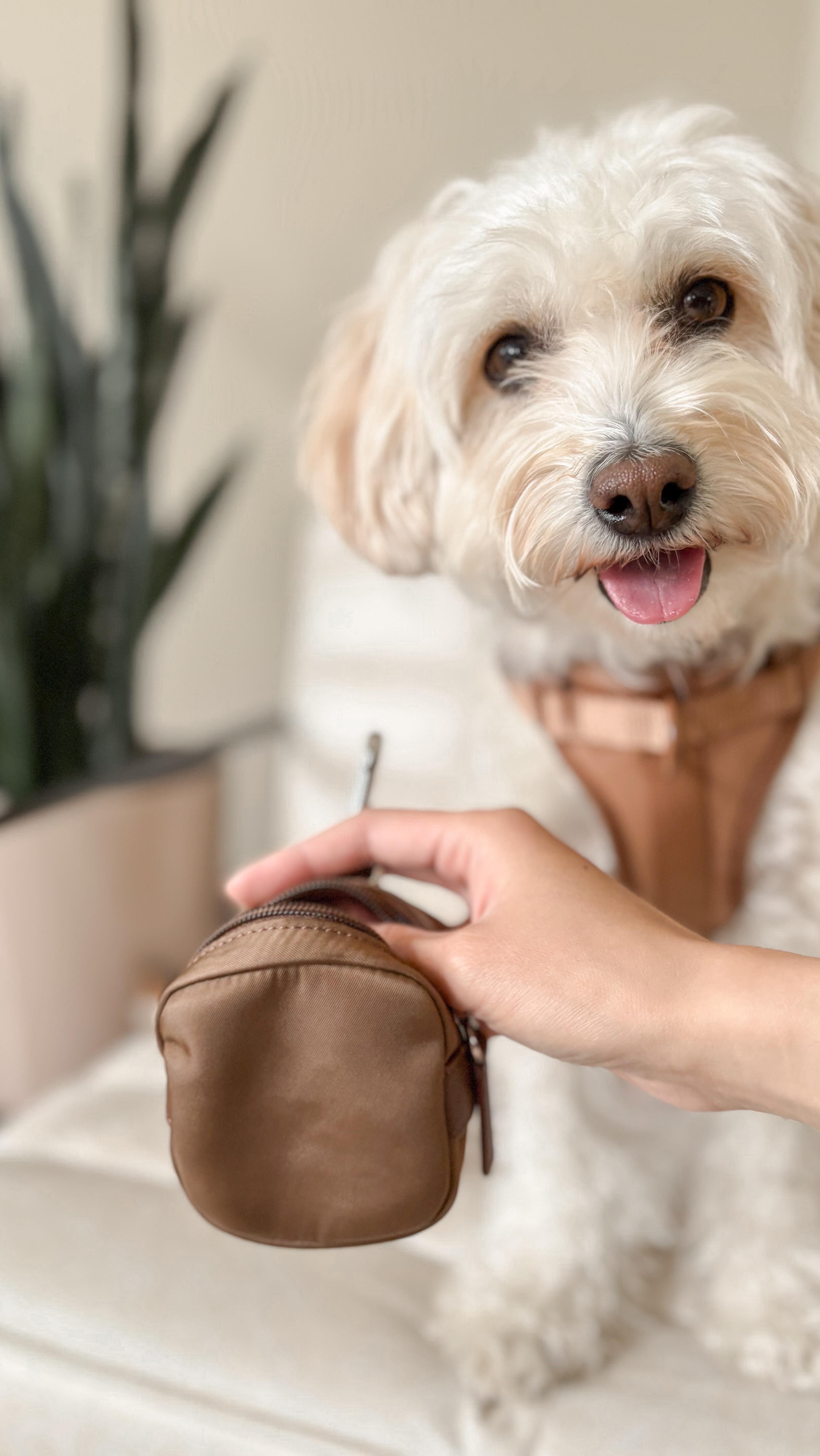 shopgracias-app-videos